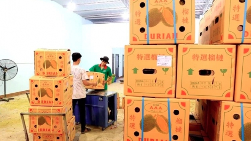 Vietnam’s export durians face stricter regulation in China market